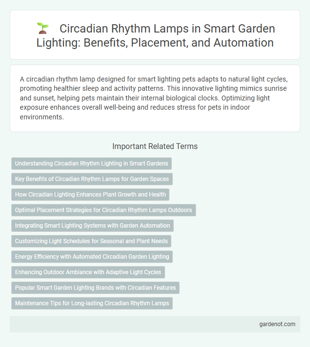 Circadian Rhythm Lamps in Smart Garden Lighting: Benefits, Placement, and Automation