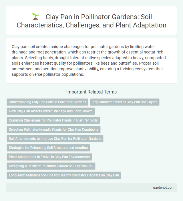Clay Pan in Pollinator Gardens: Soil Characteristics, Challenges, and Plant Adaptation