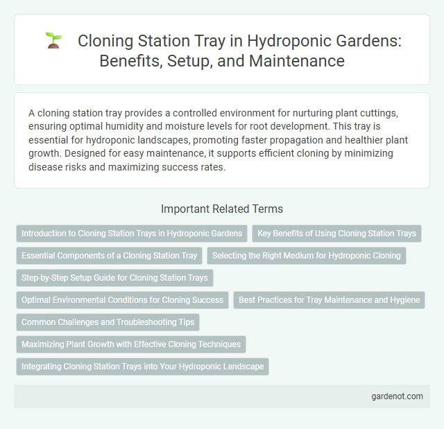 Cloning Station Tray in Hydroponic Gardens: Benefits, Setup, and Maintenance