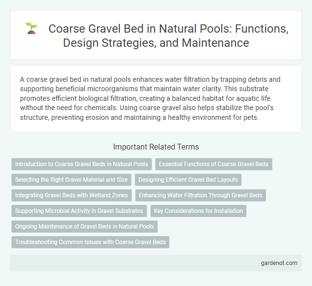 Coarse Gravel Bed in Natural Pools: Functions, Design Strategies, and Maintenance