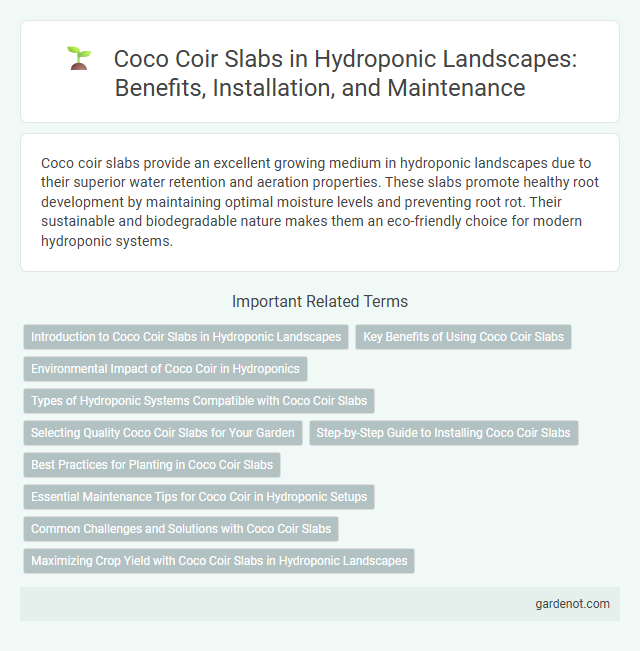 Coco Coir Slabs in Hydroponic Landscapes: Benefits, Installation, and Maintenance