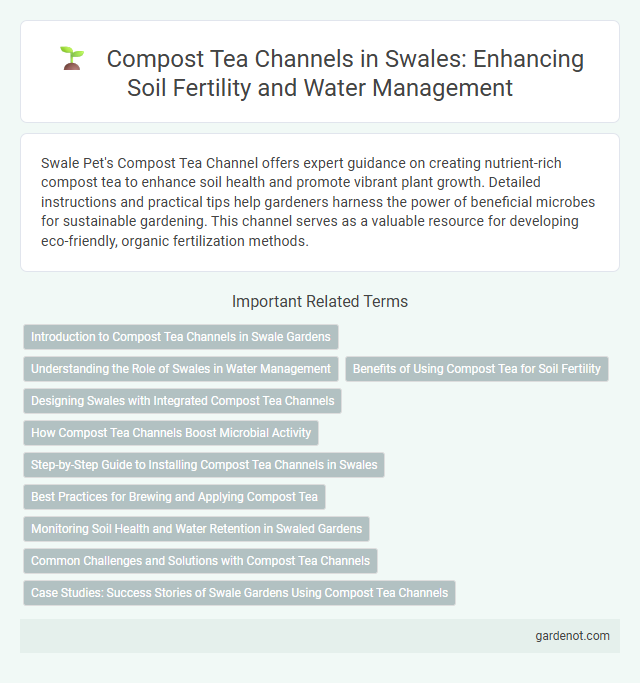Compost Tea Channels in Swales: Enhancing Soil Fertility and Water Management