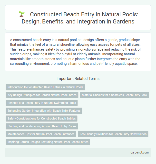 Constructed Beach Entry in Natural Pools: Design, Benefits, and Integration in Gardens