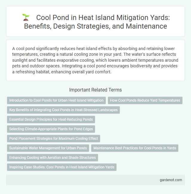 Cool Pond in Heat Island Mitigation Yards: Benefits, Design Strategies, and Maintenance