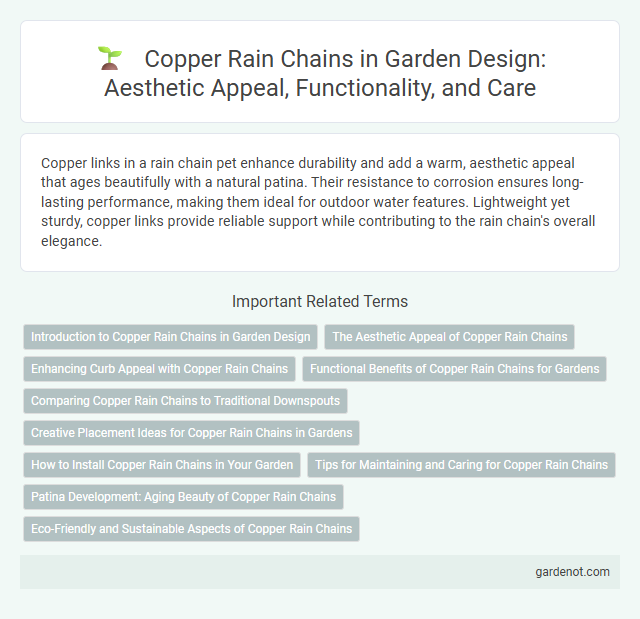 Copper Rain Chains in Garden Design: Aesthetic Appeal, Functionality, and Care