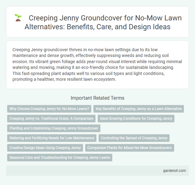 Creeping Jenny Groundcover for No-Mow Lawn Alternatives: Benefits, Care, and Design Ideas