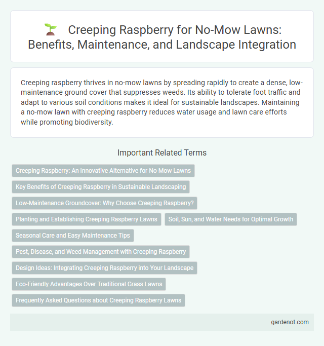 Creeping Raspberry for No-Mow Lawns: Benefits, Maintenance, and Landscape Integration
