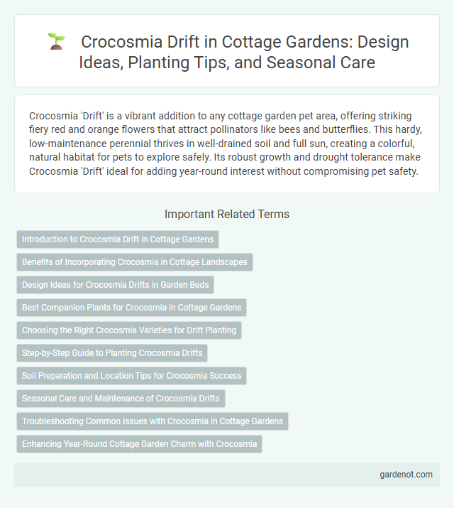 Crocosmia Drift in Cottage Gardens: Design Ideas, Planting Tips, and Seasonal Care