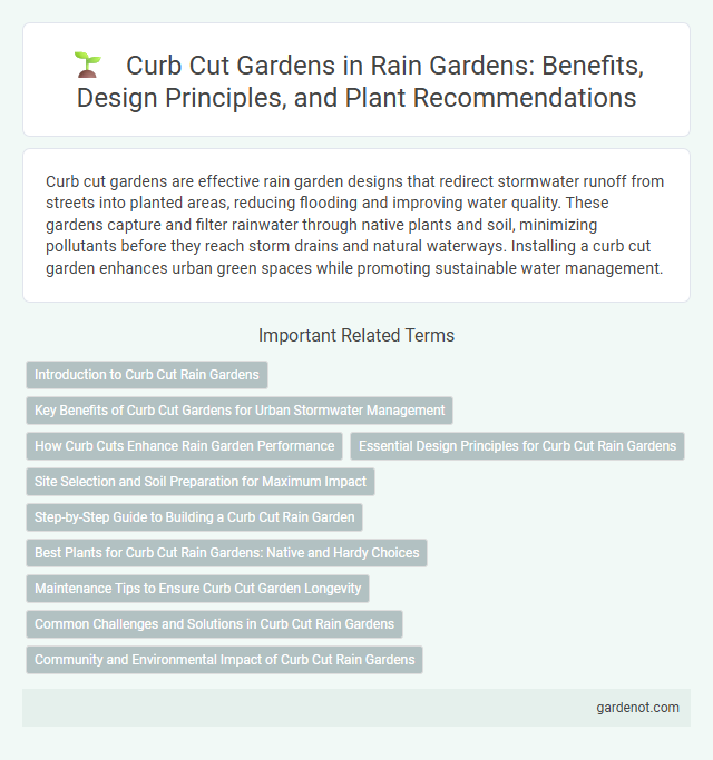 Curb Cut Gardens in Rain Gardens: Benefits, Design Principles, and Plant Recommendations