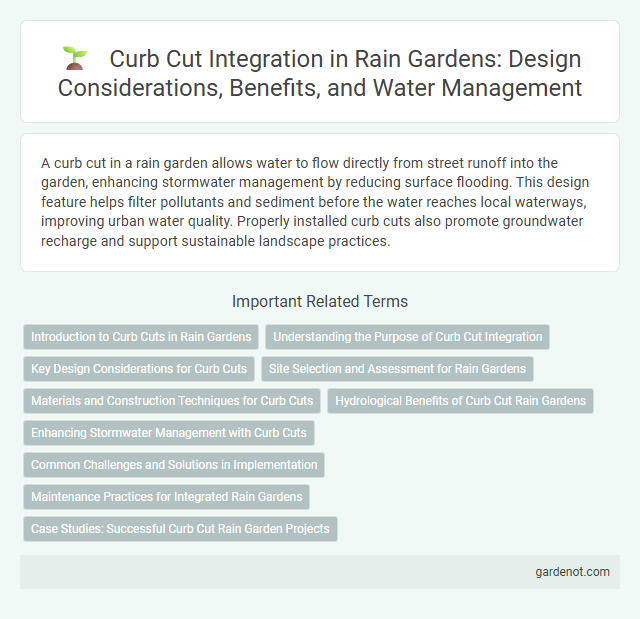 Curb Cut Integration in Rain Gardens: Design Considerations, Benefits, and Water Management
