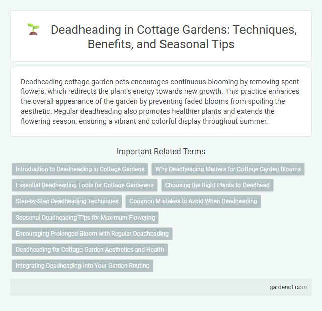 Deadheading in Cottage Gardens: Techniques, Benefits, and Seasonal Tips