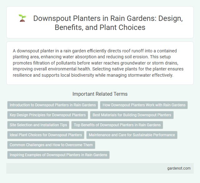 Downspout Planters in Rain Gardens: Design, Benefits, and Plant Choices