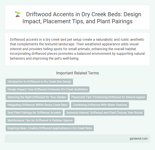 Driftwood Accents in Dry Creek Beds: Design Impact, Placement Tips, and Plant Pairings
