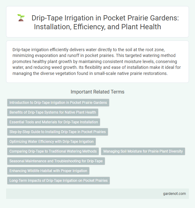 Drip-Tape Irrigation in Pocket Prairie Gardens: Installation, Efficiency, and Plant Health