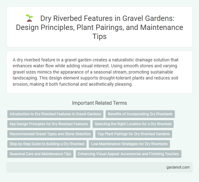 Dry Riverbed Features in Gravel Gardens: Design Principles, Plant Pairings, and Maintenance Tips