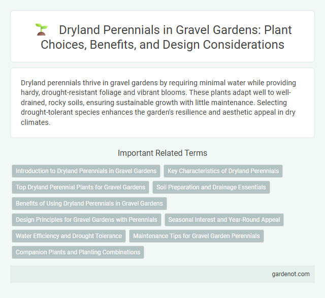 Dryland Perennials in Gravel Gardens: Plant Choices, Benefits, and Design Considerations