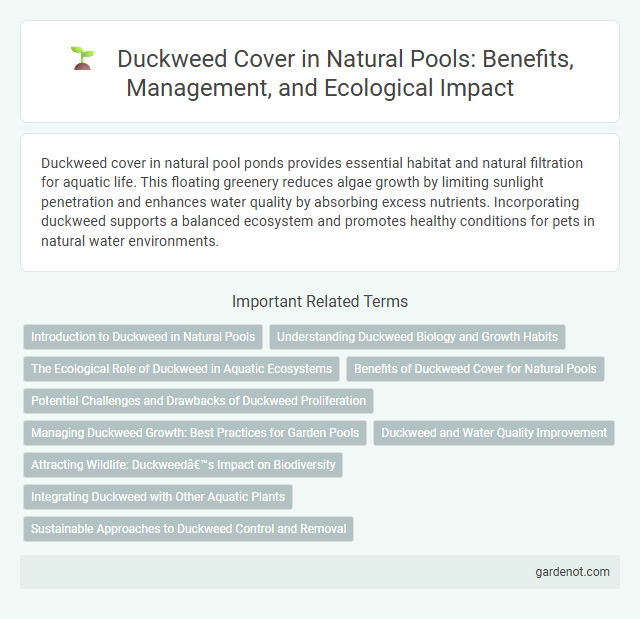 Duckweed Cover in Natural Pools: Benefits, Management, and Ecological Impact