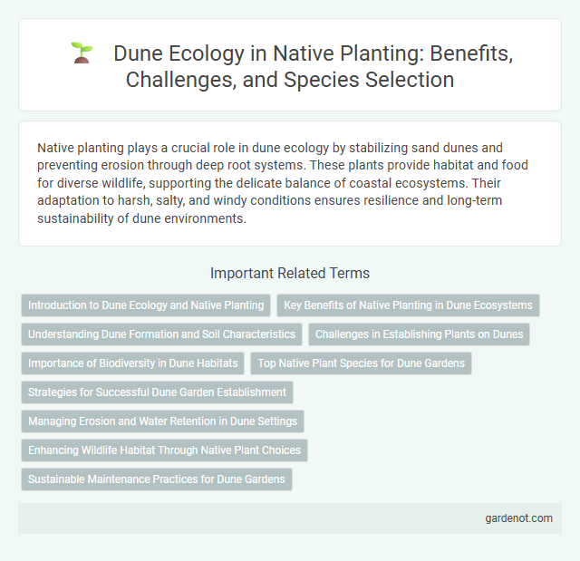 Dune Ecology in Native Planting: Benefits, Challenges, and Species Selection