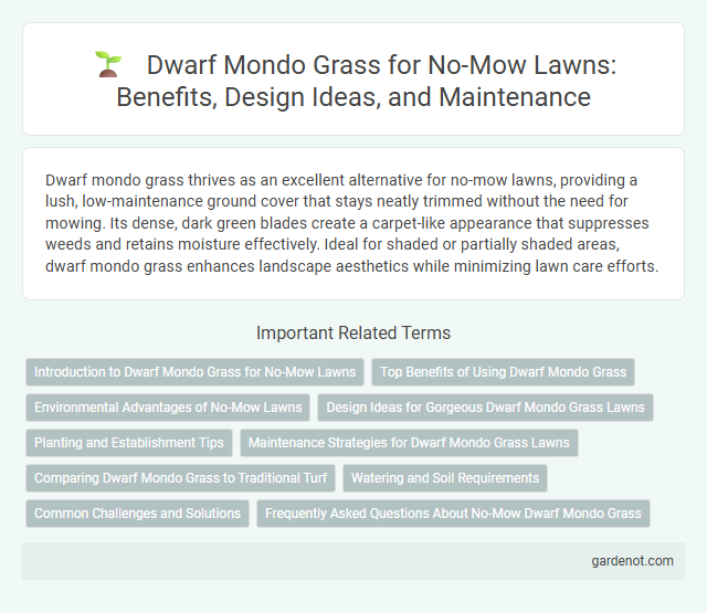 Dwarf Mondo Grass for No-Mow Lawns: Benefits, Design Ideas, and Maintenance