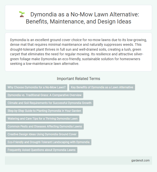 Dymondia as a No-Mow Lawn Alternative: Benefits, Maintenance, and Design Ideas