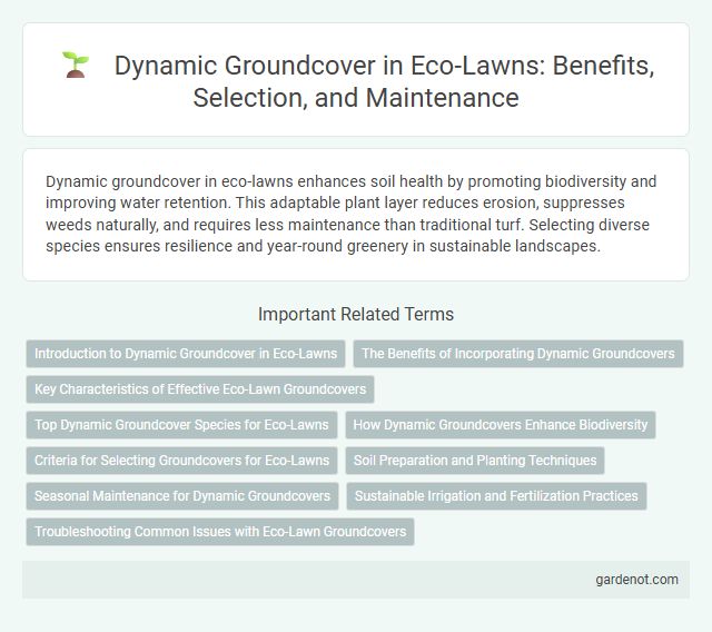 Dynamic Groundcover in Eco-Lawns: Benefits, Selection, and Maintenance