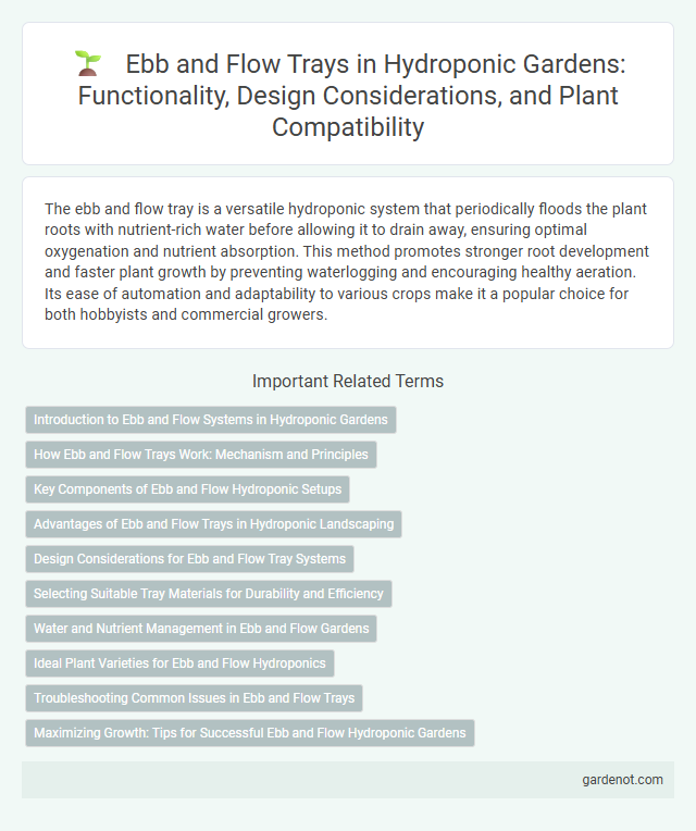 Ebb and Flow Trays in Hydroponic Gardens: Functionality, Design Considerations, and Plant Compatibility