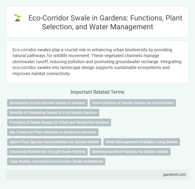 Eco-Corridor Swale in Gardens: Functions, Plant Selection, and Water Management