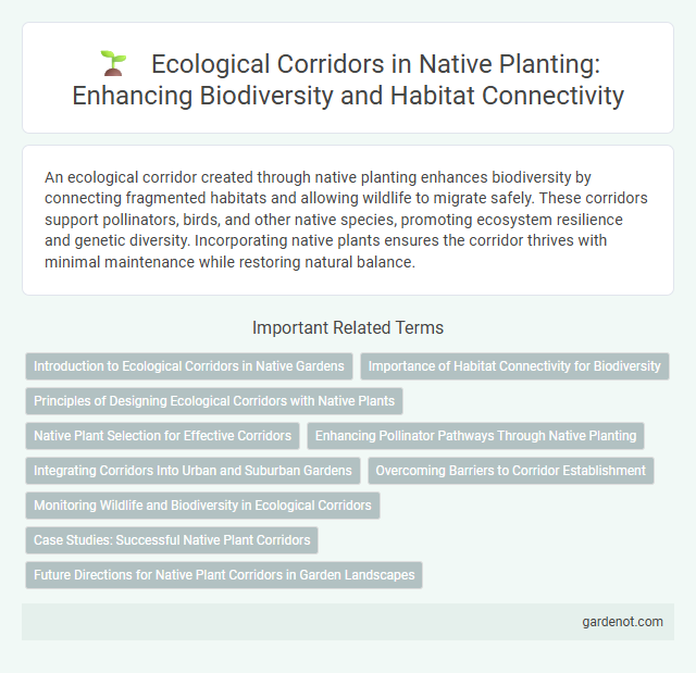 Ecological Corridors in Native Planting: Enhancing Biodiversity and Habitat Connectivity