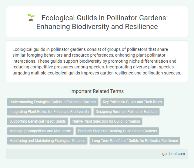 Ecological Guilds in Pollinator Gardens: Enhancing Biodiversity and Resilience
