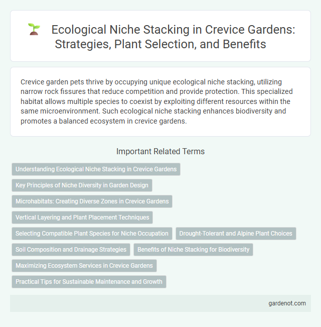 Ecological Niche Stacking in Crevice Gardens: Strategies, Plant Selection, and Benefits