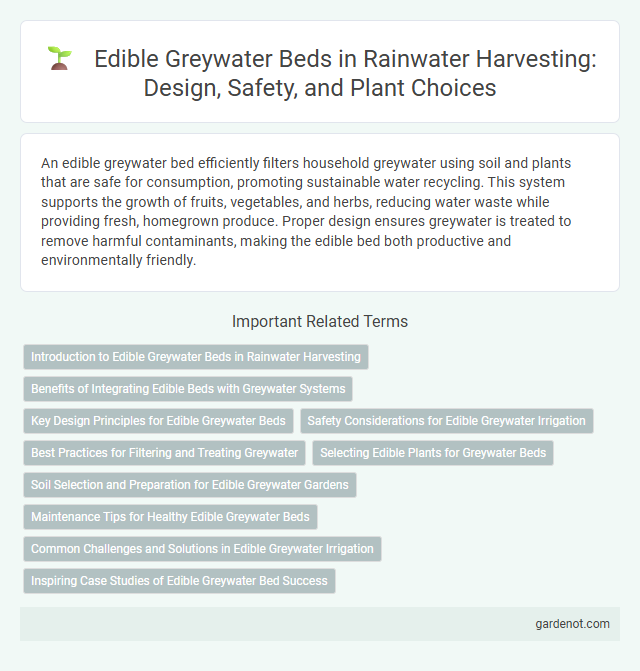 Edible Greywater Beds in Rainwater Harvesting: Design, Safety, and Plant Choices