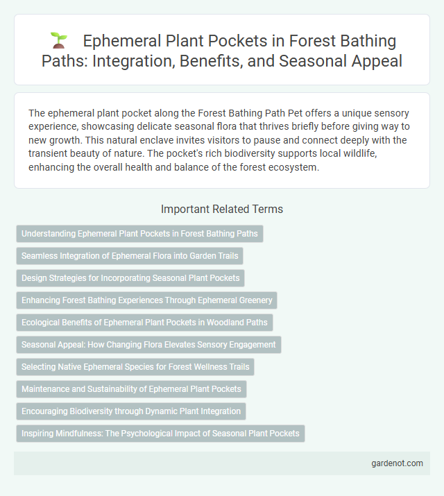 Ephemeral Plant Pockets in Forest Bathing Paths: Integration, Benefits, and Seasonal Appeal