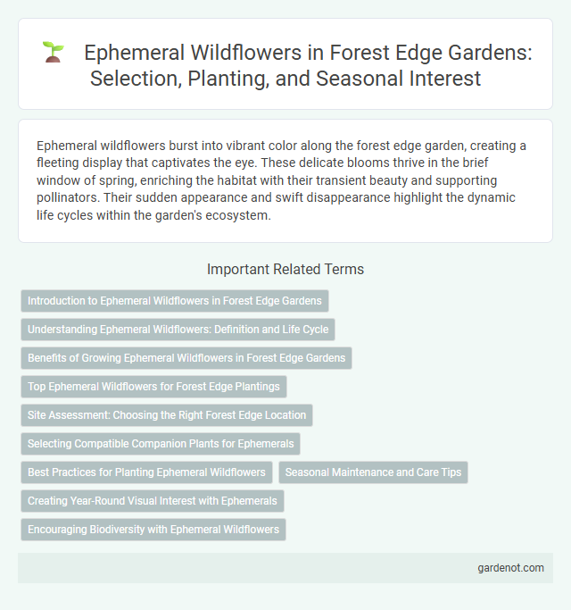 Ephemeral Wildflowers in Forest Edge Gardens: Selection, Planting, and Seasonal Interest