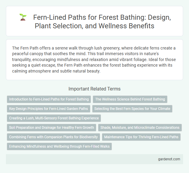 Fern-Lined Paths for Forest Bathing: Design, Plant Selection, and Wellness Benefits
