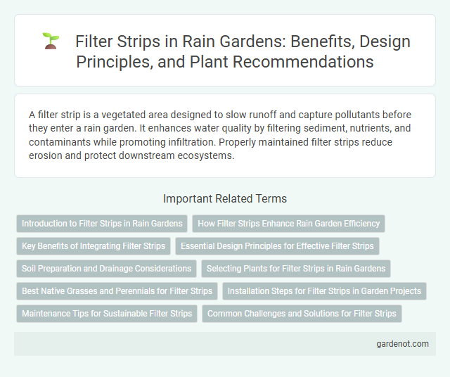 Filter Strips in Rain Gardens: Benefits, Design Principles, and Plant Recommendations