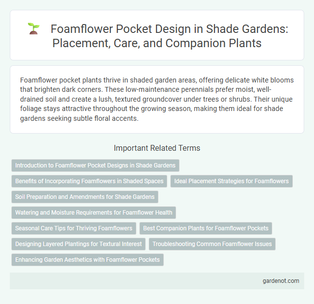 Foamflower Pocket Design in Shade Gardens: Placement, Care, and Companion Plants