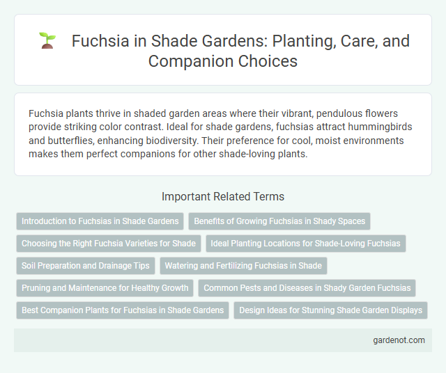Fuchsia in Shade Gardens: Planting, Care, and Companion Choices