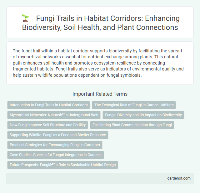 Fungi Trails in Habitat Corridors: Enhancing Biodiversity, Soil Health, and Plant Connections