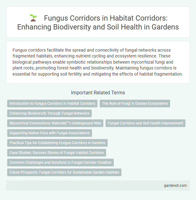 Fungus Corridors in Habitat Corridors: Enhancing Biodiversity and Soil Health in Gardens