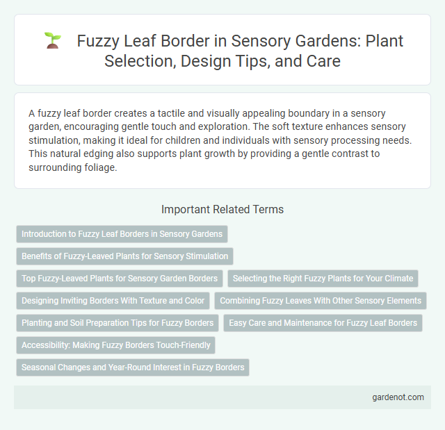Fuzzy Leaf Border in Sensory Gardens: Plant Selection, Design Tips, and Care