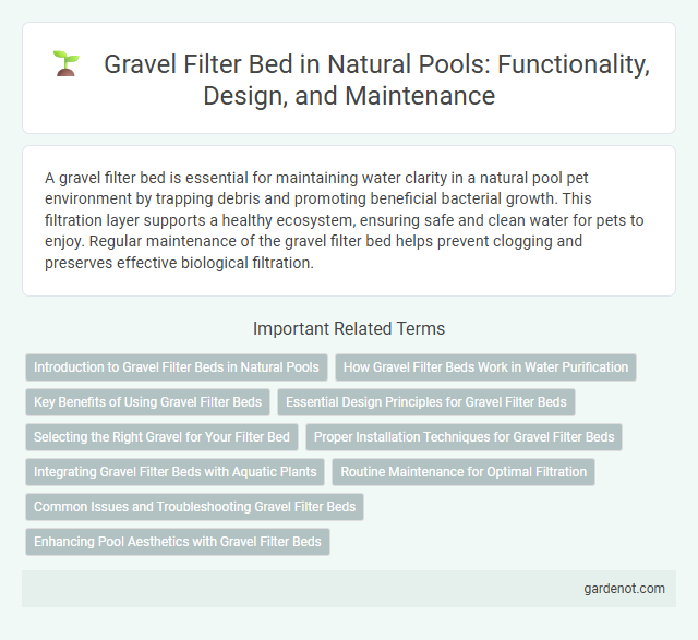 Gravel Filter Bed in Natural Pools: Functionality, Design, and Maintenance