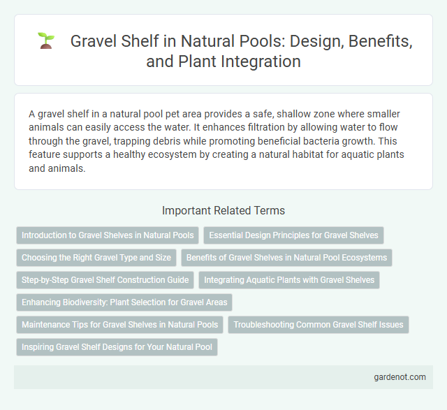 Gravel Shelf in Natural Pools: Design, Benefits, and Plant Integration