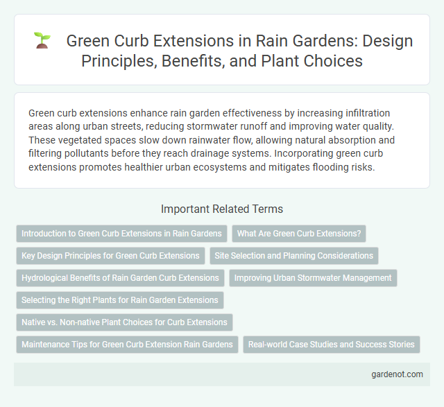 Green Curb Extensions in Rain Gardens: Design Principles, Benefits, and Plant Choices