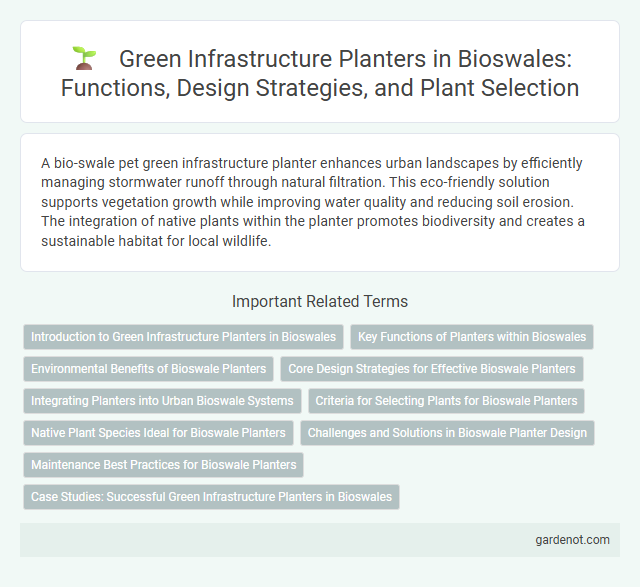 Green Infrastructure Planters in Bioswales: Functions, Design Strategies, and Plant Selection