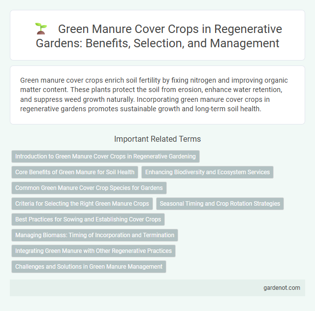 Green Manure Cover Crops in Regenerative Gardens: Benefits, Selection, and Management