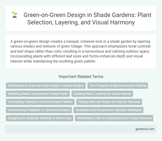 Green-on-Green Design in Shade Gardens: Plant Selection, Layering, and Visual Harmony
