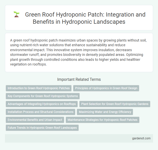 Green Roof Hydroponic Patch: Integration and Benefits in Hydroponic Landscapes