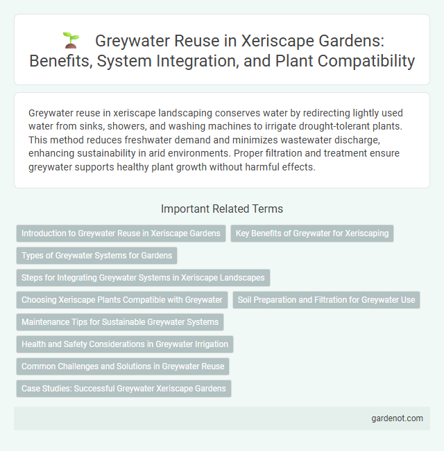 Greywater Reuse in Xeriscape Gardens: Benefits, System Integration, and Plant Compatibility