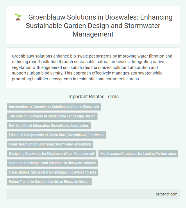 Groenblauw Solutions in Bioswales: Enhancing Sustainable Garden Design and Stormwater Management