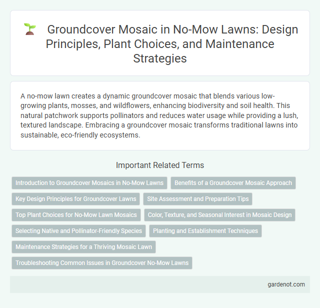 Groundcover Mosaic in No-Mow Lawns: Design Principles, Plant Choices, and Maintenance Strategies